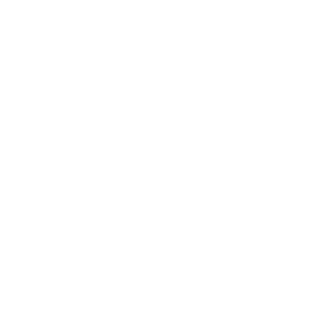 logo2